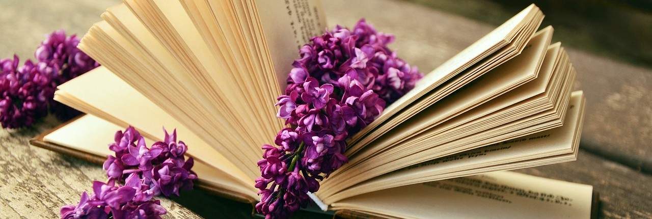 book-759873_1280 Bücher