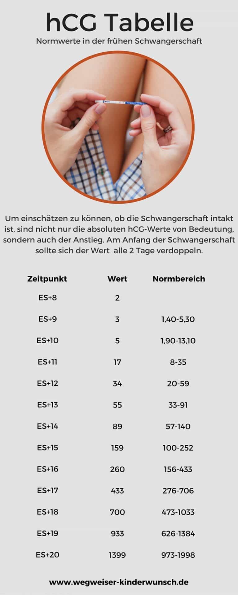 HCGTabelle ab wann kannst du einen Schwangerschaftstest machen?