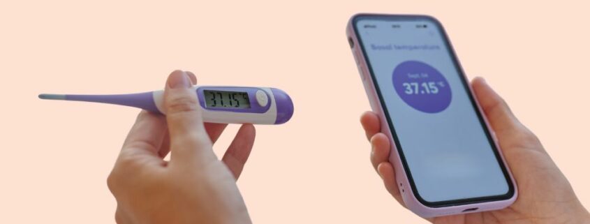 Basalthermometer