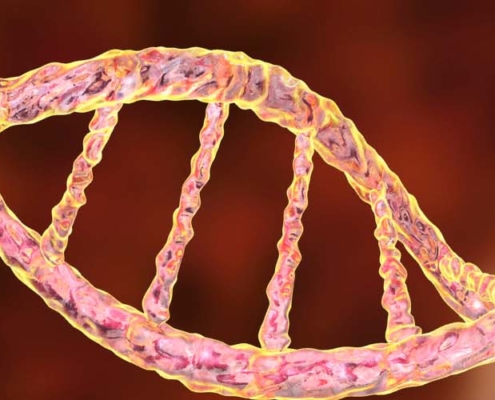 Kir Gene