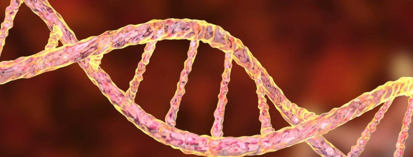 Kir Gene
