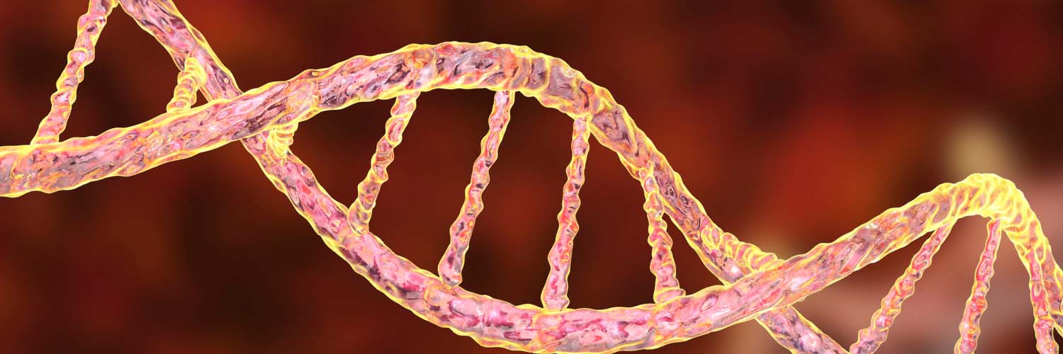 Kir Gene