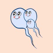 Spermien verbessern mit Pimp my Sperm