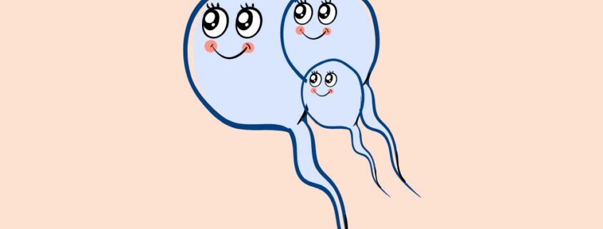 Spermien verbessern mit Pimp my Sperm
