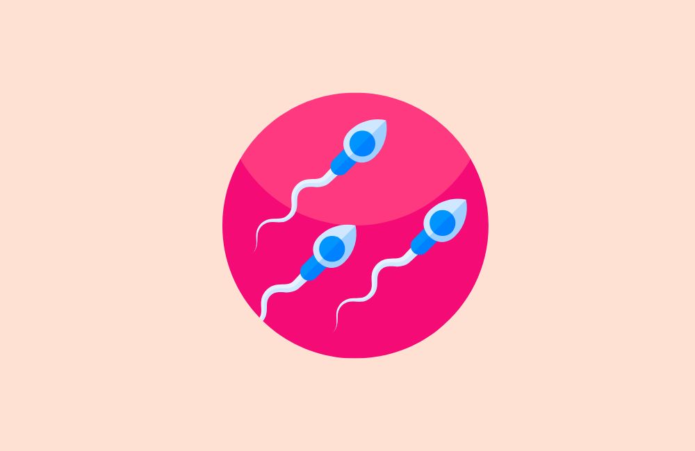 Spermiogramm zuhause: ExSeed Fruchtbarkeitstest für den Mann