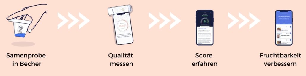 Ablauf des Fruchtbarkeitstest für den Mann