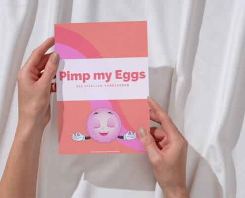 Pimp my eggs Einnahmeplan