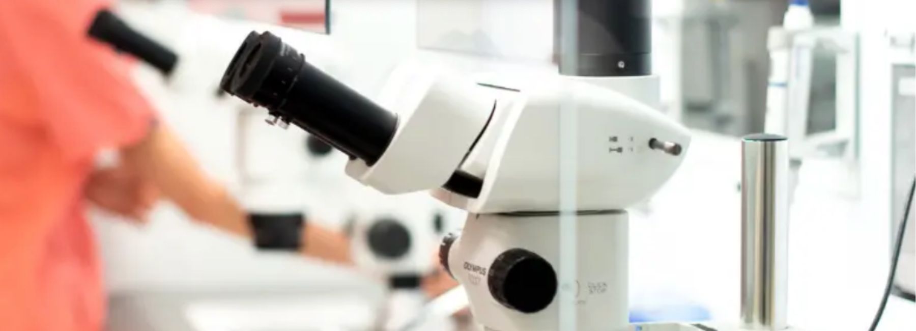 Vida Fertility Kinderwunschklinik in Spanien - Labor